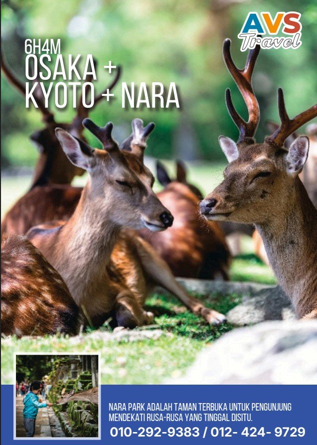 6D4N Osaka + Kyoto + Nara